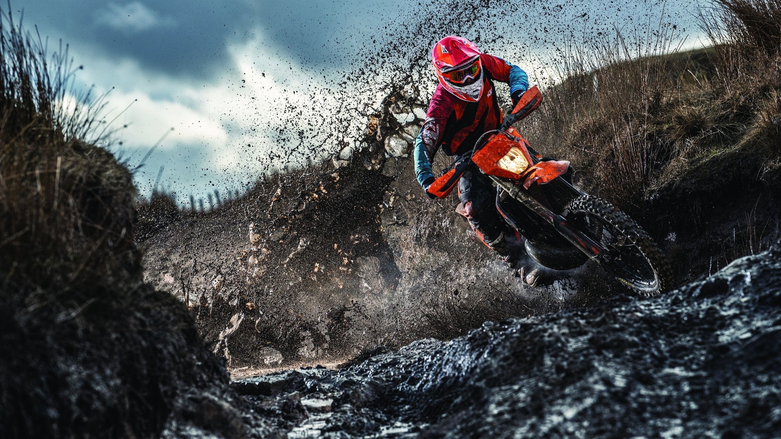 中国排球协会2026年将建立女排二队长期集训机制