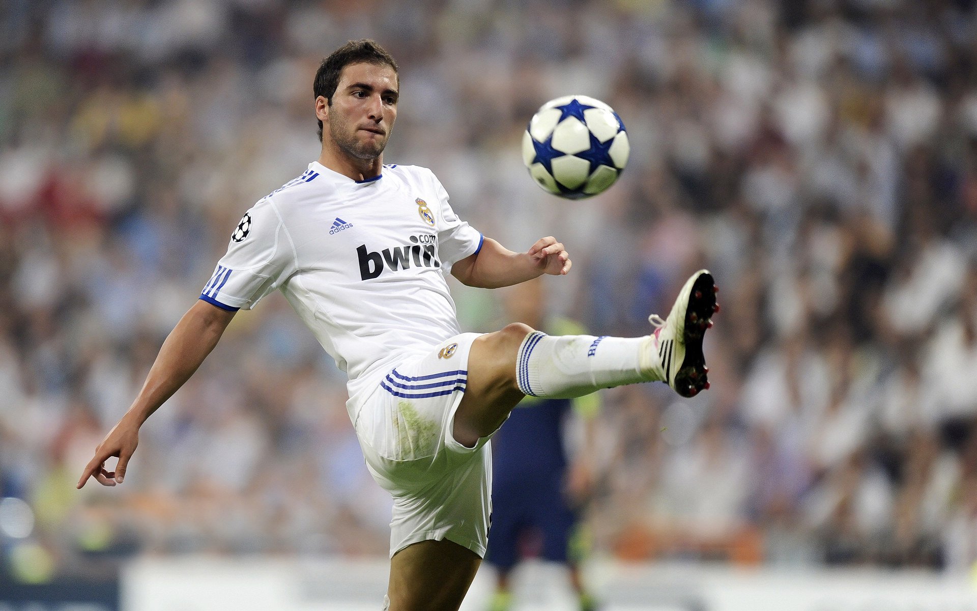 职业拳王统一战 亿万瞩目金腰带归属揭晓